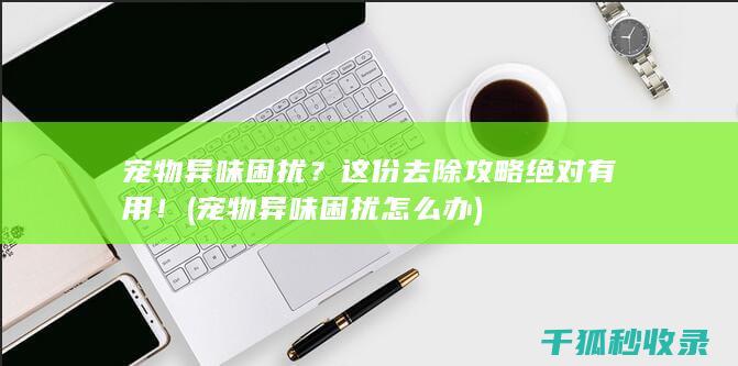 宠物异味困扰？这份去除攻略绝对有用！ (宠物异味困扰怎么办)