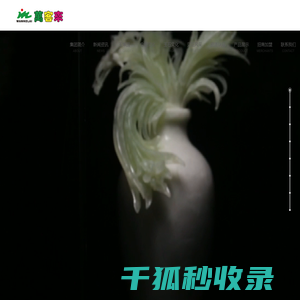 本安型防爆手机