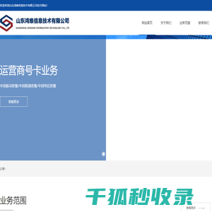 山东鸿维信息技术有限公司